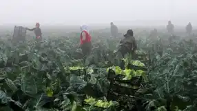 TARSİM, Üreticilere 7,3 Milyar TL Hasar Ödemesi Yaptı