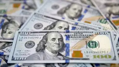 Dolar Kuru Bugün Ne Kadar? (29 Kasım 2024)**