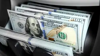 22 Ocak 2025: Dolar Kuru 35,65 TL
