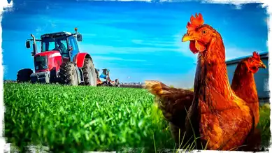 Türkiye: Avrupa'nın Tarım Devi
