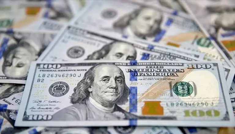Dolar Kuru Bugün Ne Kadar? (29 Kasım 2024)**