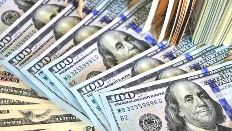 TCMB Rezervleri 172 Milyar Dolara Çıktı